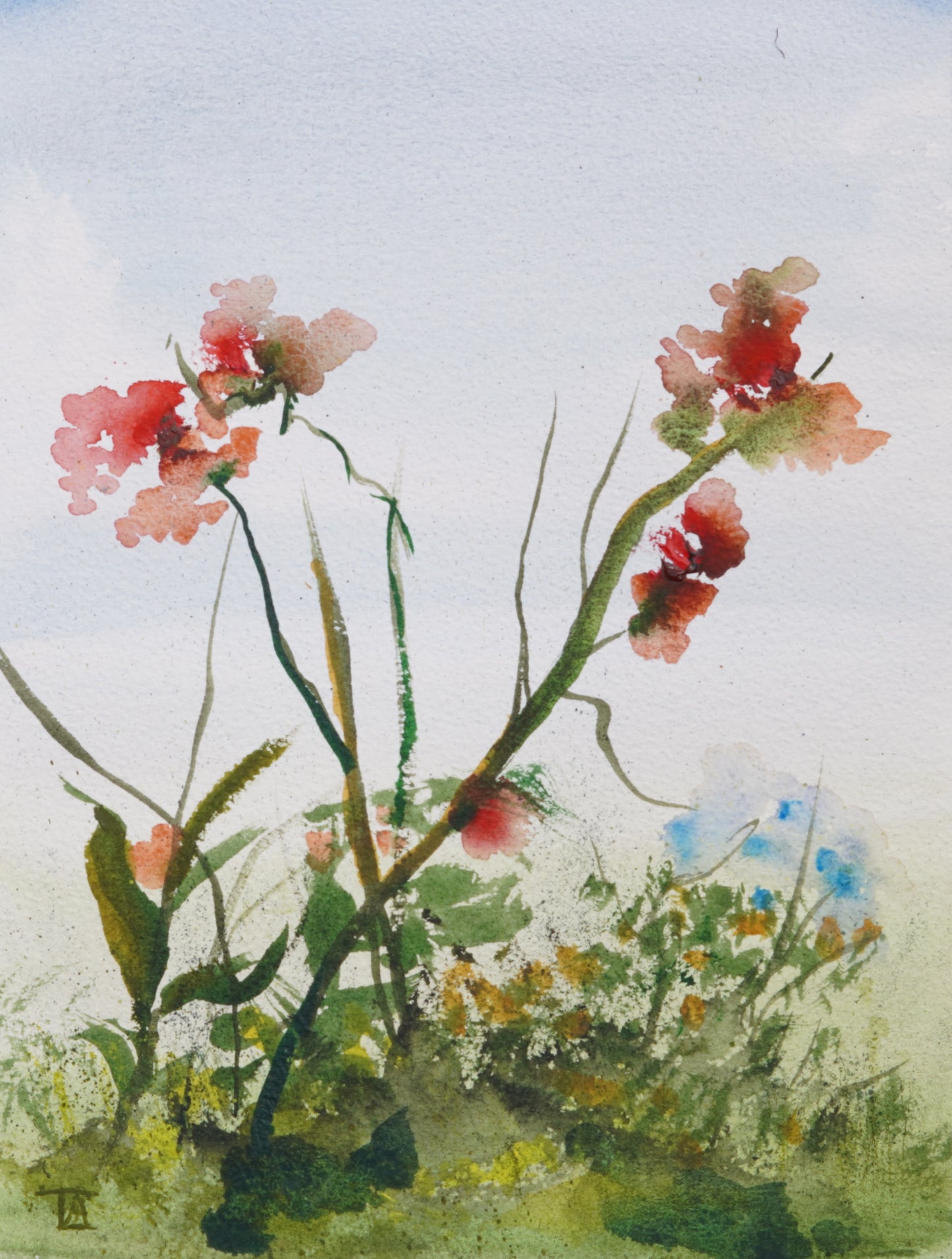 Scarlet Petals II