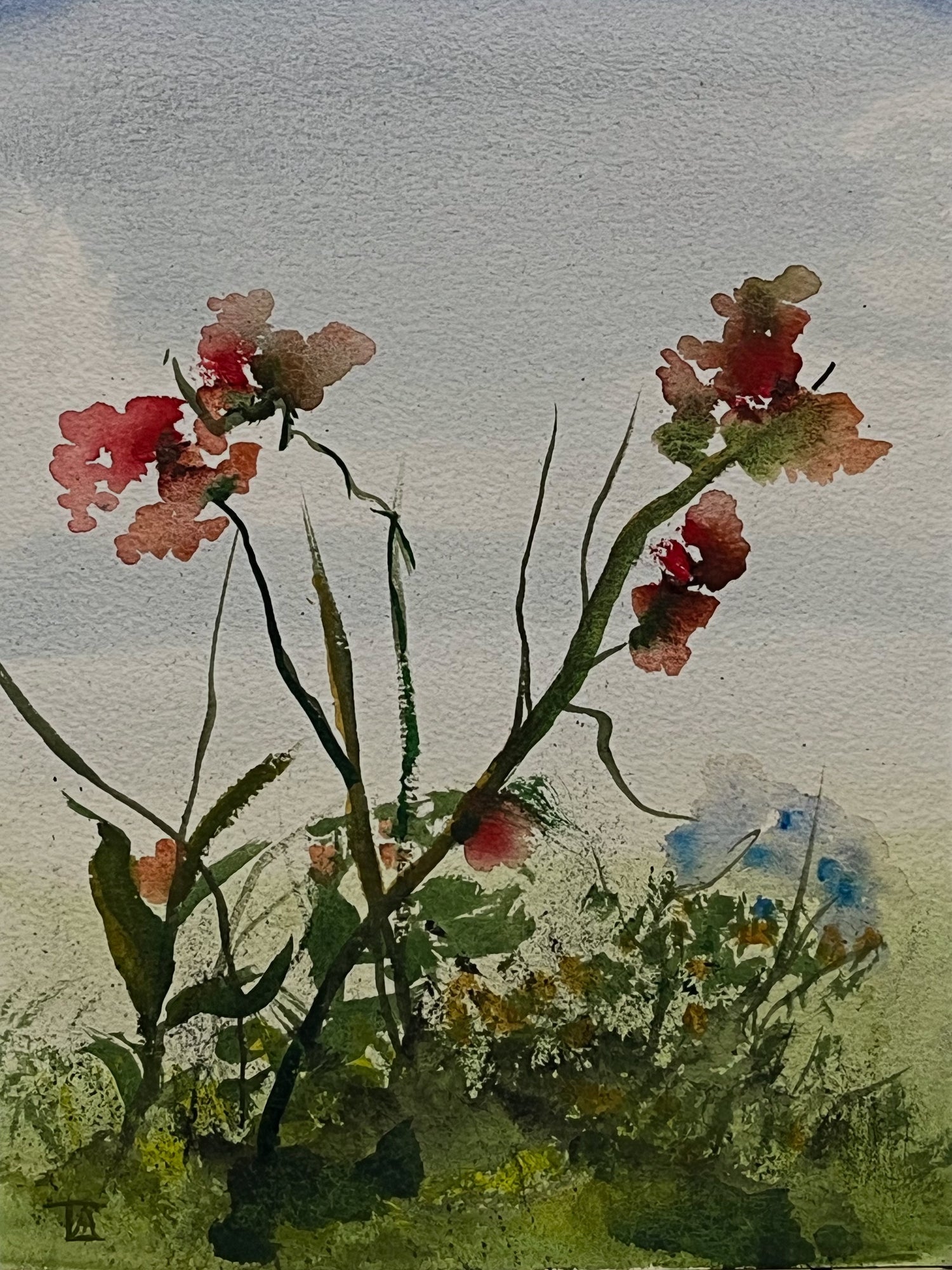 Floral Prints