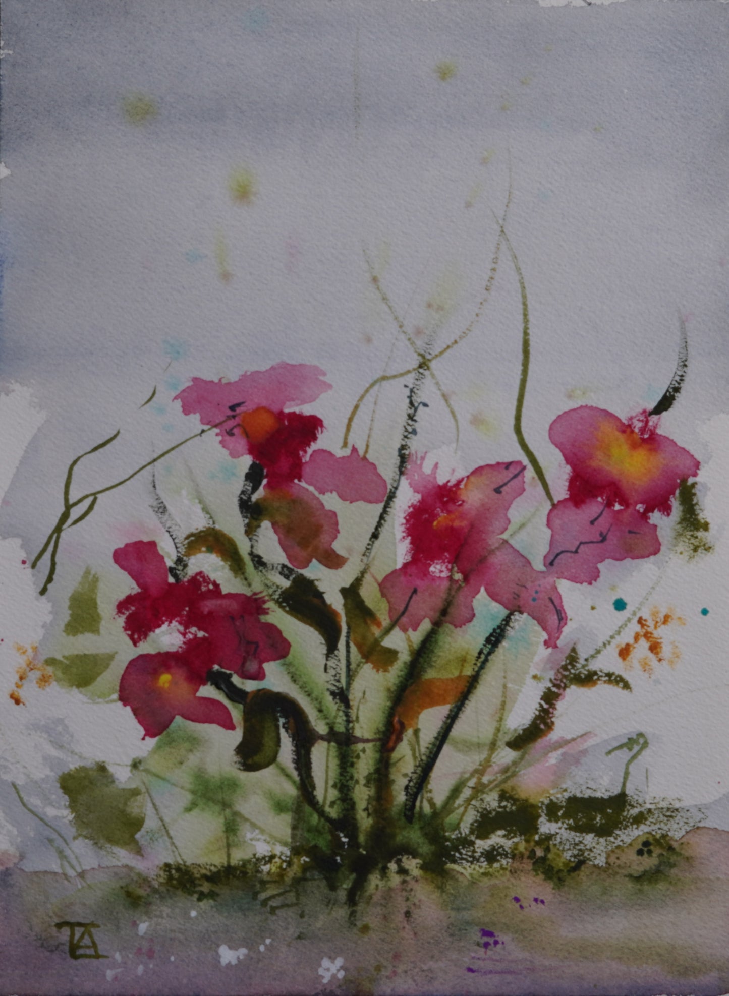 Scarlet Petals