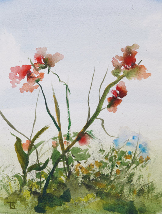 Scarlet petals II original
