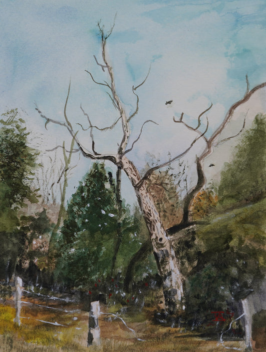 The Old Oak Tree